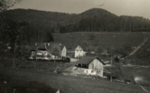 Vintage black-and-white farmhouses in valley