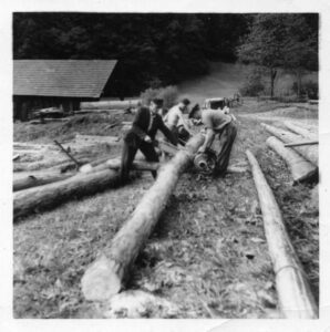 Vintage log workers hauling timber outdoors